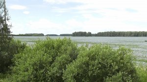 Летним днём за пределы города.