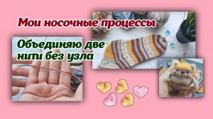 Мои носочные процессы/котенок/объединяю нити