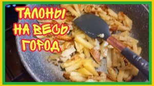 2/7 25 ВРАЧИ ЛОВЯТ ТАЛОНЫ ПО "МЁРТВОЙ" ПРОГРАММЕ. НЕ ВИДАТЬ, КАК СВОИХ УШЕЙ. ЧТОБ ВООБЩЕ НЕ ХОДИЛИ.