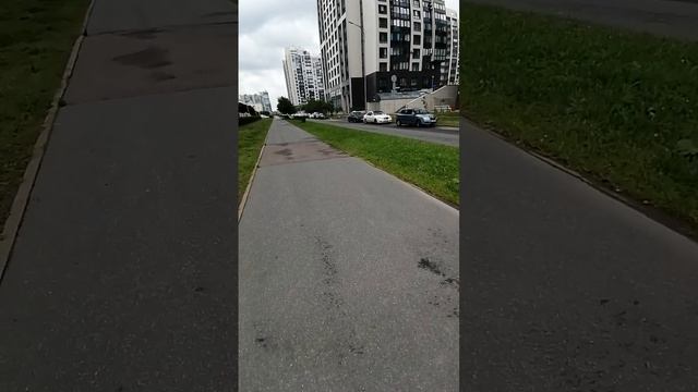 Веселая прогулка