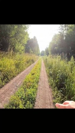 «Покой в скорости» #сезонконтентаRUTUBE