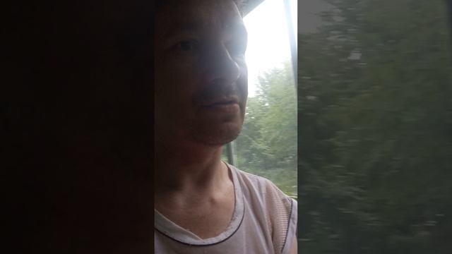 Мой огород на лоджии помидоры и цветы