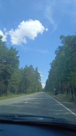 Дорога!!!