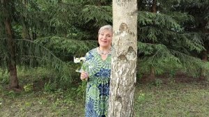Ах,ромашка...♥️Красивая песня.С Праздником!!!♥️♥️♥️Символ-ромашка🌞