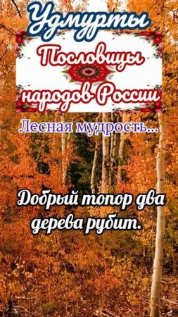 Пословицы