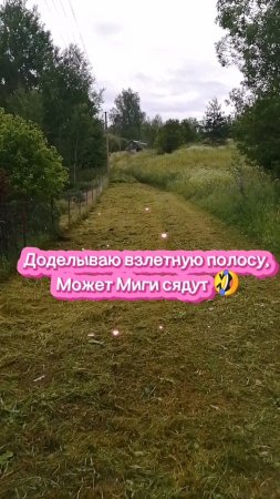 МИГ НЕ СЕЛ, ДОЖДЬ ПОМЕШАЛ, ВСЕ ПЛАНЫ КОТУ ПОД ХВОСТ... #юмор #траваудома #косилка