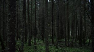 ⚠️ Я снова полез непонятно куда. Randonautica 2 часть