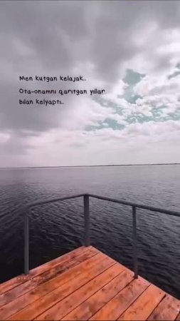 export_4035393931768543311.mp4
