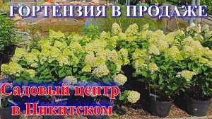 ГОРТЕНЗИИ И НИМФЕИ
