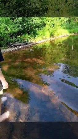 дорога до заказника черные скалы, через поселок Смычки, приморский край