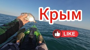 Крым Орловка Ловим Ласкиря