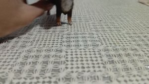 пришла хотелочка😊