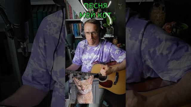 Песня про моего кота