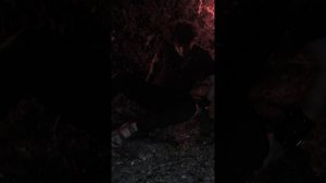 Сложнее всего найти себя