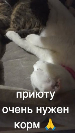 +7985 193 0027 сбер элплат