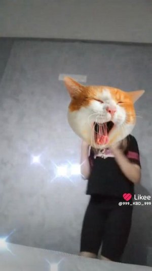 Like_7524655525558760595.mp4