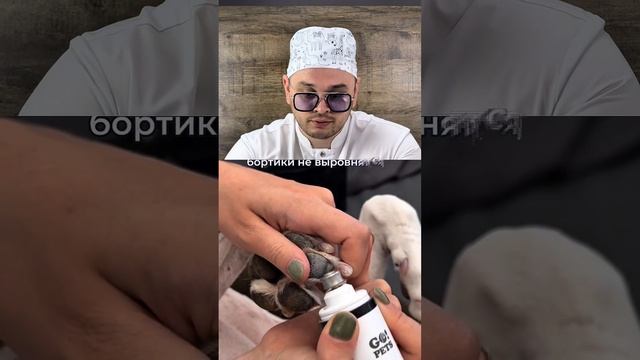 Как стричь когти собаке 🐾