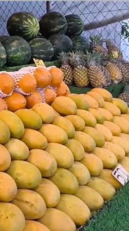 Экзотические фрукты Таиланда: мангустины, манго, маракуйя, дуриан

#сезонконтентаRUTUBE