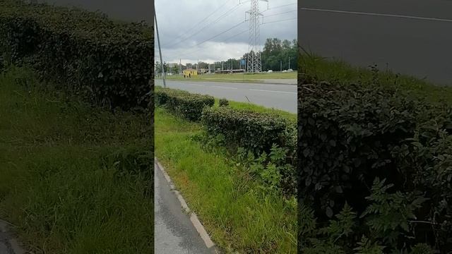 По шоссе