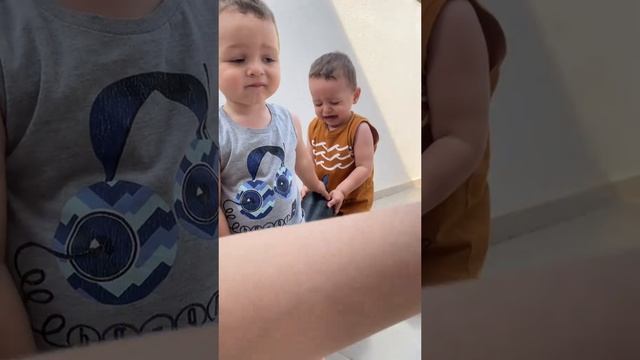 Приколы с животными и не только