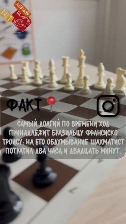 Интересные факты про шахматы