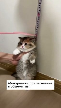 Уже в августе:)