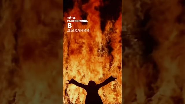 Чувство, знакомое каждому