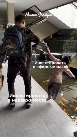 Мы ведь знаем, какие инвестиции окупают себя на все сто 😉