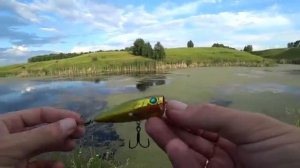 Рыбалка на спиннинг