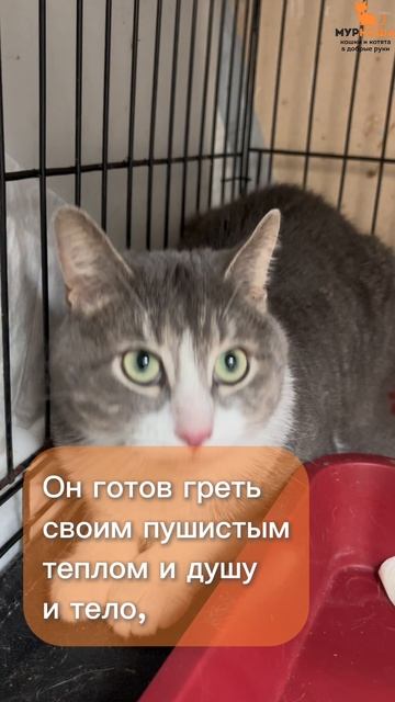 Хамон (уже дома)