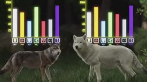 Будут ли "Лютоволки" снова ибой? Tier Zoo