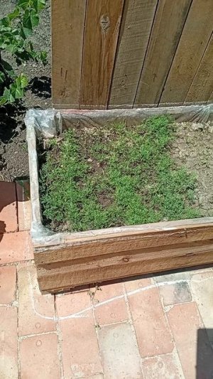 клумба из остатков поддонов