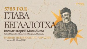 Тора с комментариями Мальбима | Глава Бегаалотха | раввин Шломо Зелиг Аврасин