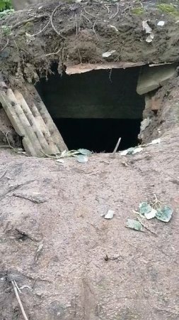 Дот в парке