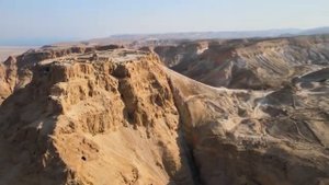 Под видом ИИ роботам подселят Сущность.