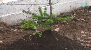 Норильские новости – 08.07.2025