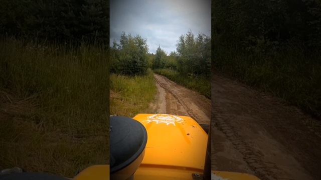 как я грейдером был 😂, сделал отличную дорогу 👍#дорога #грейдерование #эксковатор #лес
