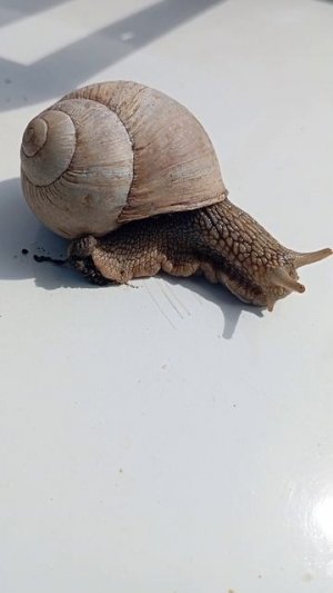 юмор позитив