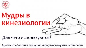 Мудры в кинезиологии. Для чего используются? Фрагмент обучения висцеральному массажу и кинезиологии