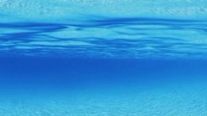 она плавает в формалине...