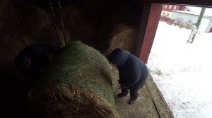Влог от 01.01.2021