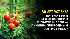Успех начинается с семечка. Паста и гель Фитоспорин и Гуми дают богатейшие урожаи