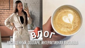 ИНТЕРАКТИВНАЯ ВЫСТАВКА, МУЖ В ОТПУСКЕ, ЗООПАРК, НОЧНАЯ РОМАНТИКА, ГОТОВИМ ЧЕБУРЕКИ