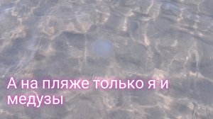 А на Крымском пляже только я и медузы/ попробуйте найти такое тихое место в Крыму