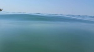 СУДАК 2025 МОРЕ ПОТЕПЛЕЛО МОЖНО КУПАТЬСЯ ЧАСАМИ