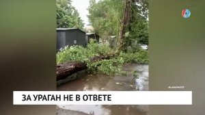 За ураган не в ответе