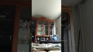 секс с утречка