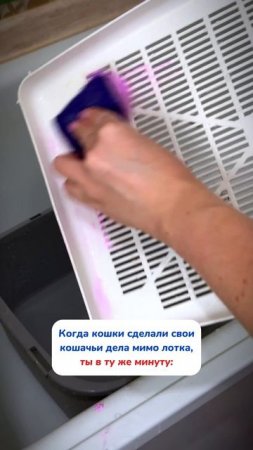 WB #234577722  OZ #1664064287 и кошки рады, и лоток чистый с этой пастой 😻