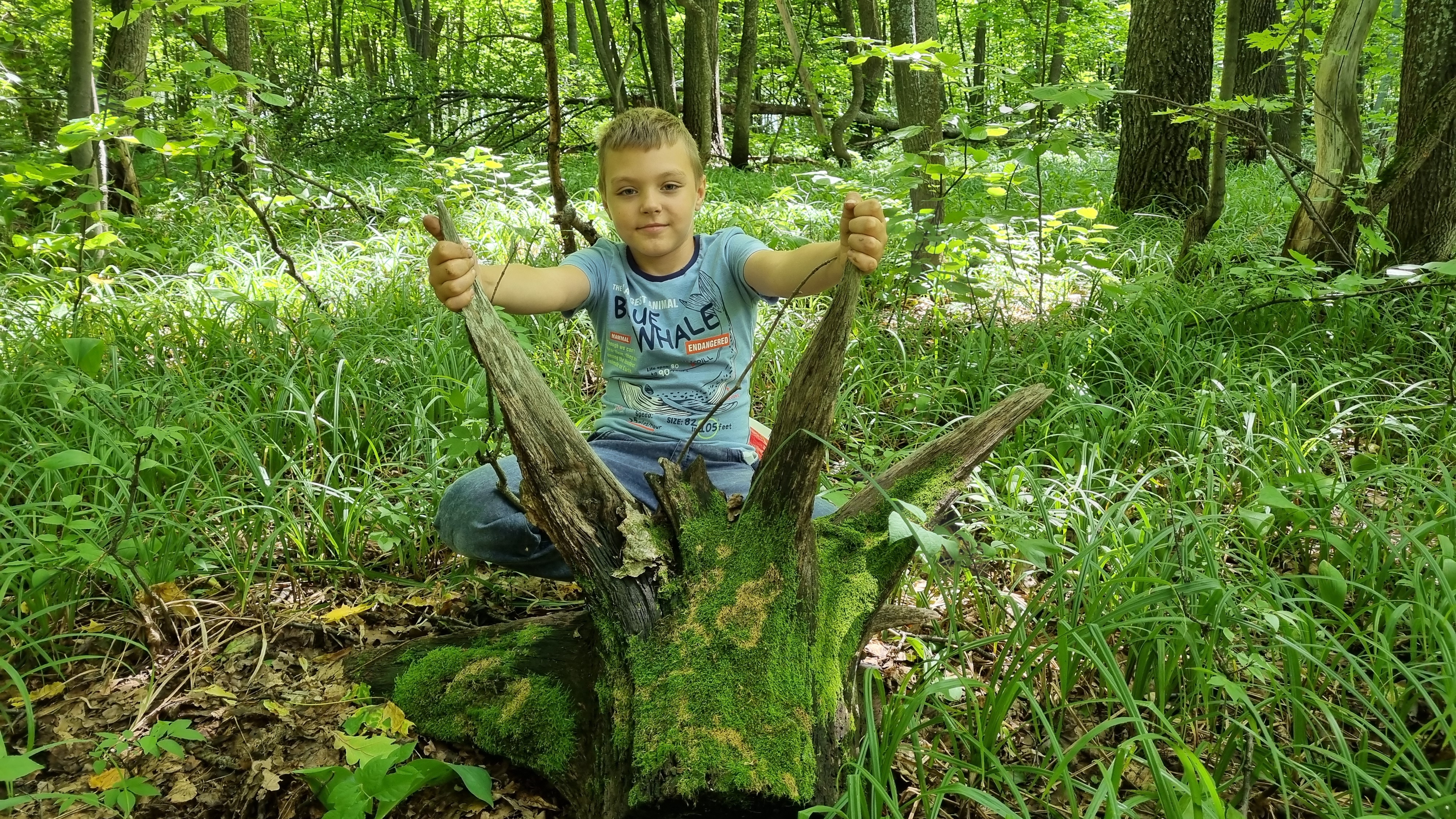 За Грибами в Лес Тихая охота в Самарской области смотреть онлайн