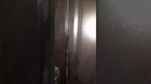 1 комнатная квартира, Волгоград, пр. Жукова 88